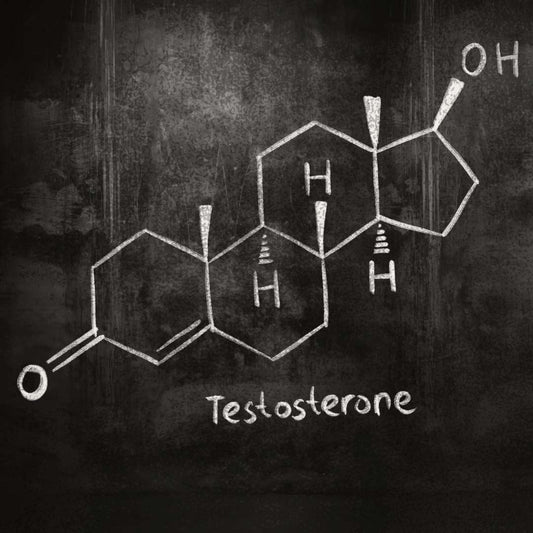 Picture of a testosterone molecule