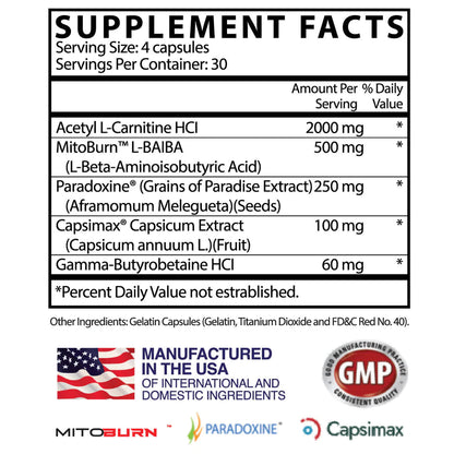 supplement facts of APOLLON MOLOTOV Fat Burner